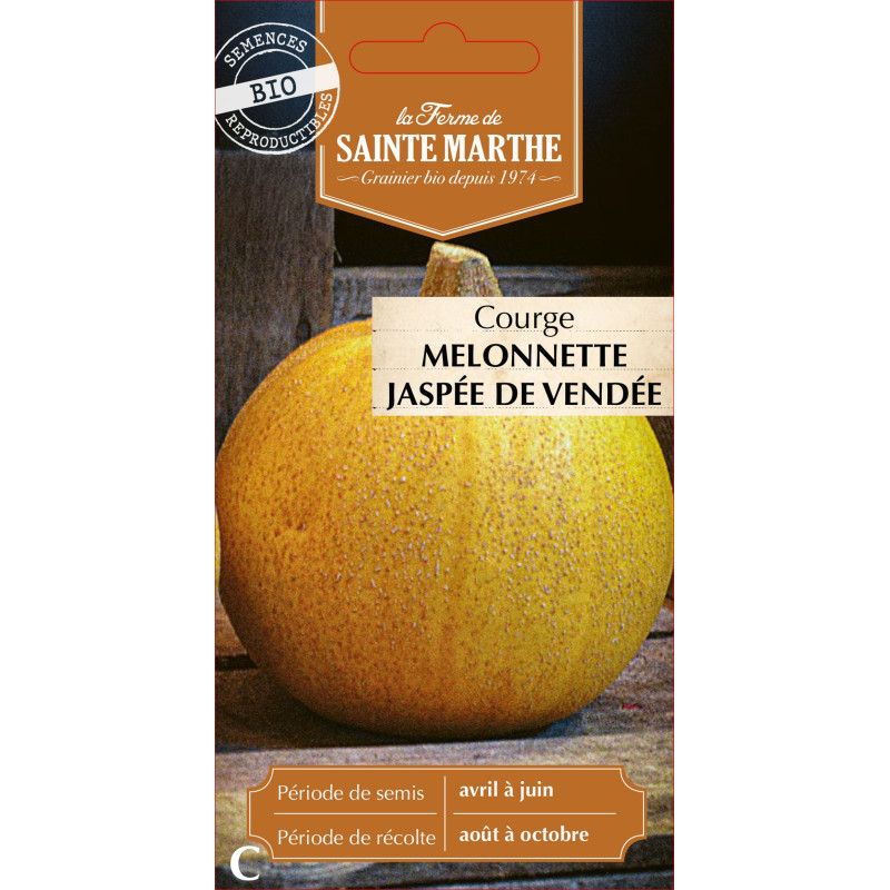 Courgette melon jaspee de vendee -sainte marthe de La Ferme de Sainte Marthe - Graines BIO dans Graines de Courgette - Courge