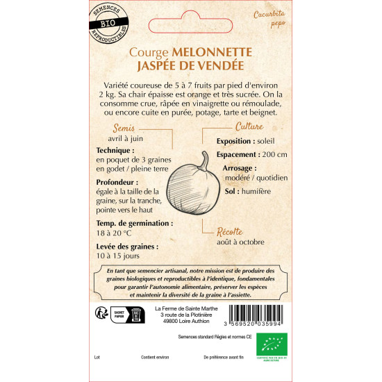 Courgette melon jaspee de vendee -sainte marthe de La Ferme de Sainte Marthe - Graines BIO dans Graines de Courgette - Courge