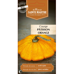 Courgette patisson orange bio - sainte marthe de La Ferme de Sainte Marthe - Graines BIO dans Graines de Courgette - Courge