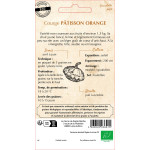 Courgette patisson orange bio - sainte marthe de La Ferme de Sainte Marthe - Graines BIO dans Graines de Courgette - Courge