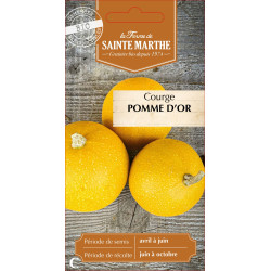 Courgette pomme d'or bio - ferme sainte marthe de La Ferme de Sainte Marthe - Graines BIO dans Graines de Courgette - Courge