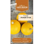 Courgette pomme d'or bio - ferme sainte marthe de La Ferme de Sainte Marthe - Graines BIO dans Graines de Courgette - Courge