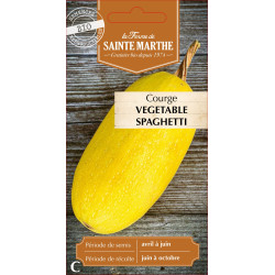 Courgette vegetable spaghetti bio - sainte marth de La Ferme de Sainte Marthe - Graines BIO dans Graines de Courgette - Courge