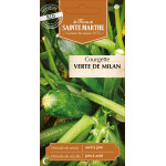 Courgette verte de milan bio -ferme sainte marth de La Ferme de Sainte Marthe - Graines BIO dans Graines de Courgette - Courge
