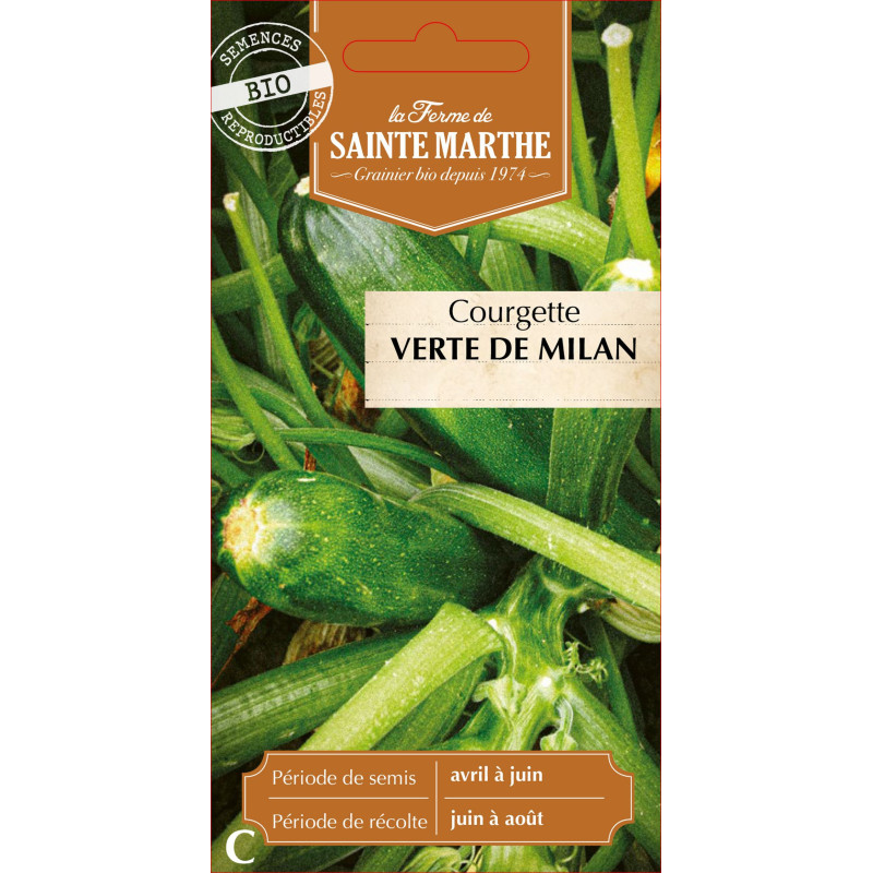 Courgette verte de milan bio -ferme sainte marth de La Ferme de Sainte Marthe - Graines BIO dans Graines de Courgette - Courge