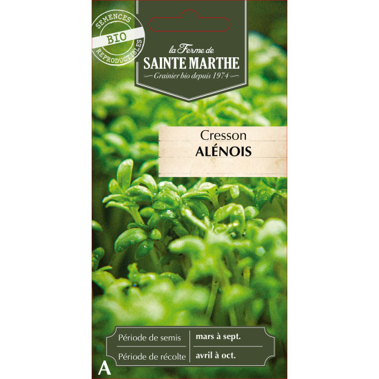 Cresson alenois frise bio - ferme sainte marthe de La Ferme de Sainte Marthe - Graines BIO dans Graines de Cresson
