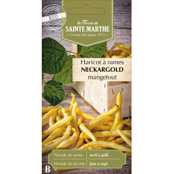 Haricot a rame neckargold 10g -sainte marthe de La Ferme de Sainte Marthe - Graines BIO dans Graines de Haricot