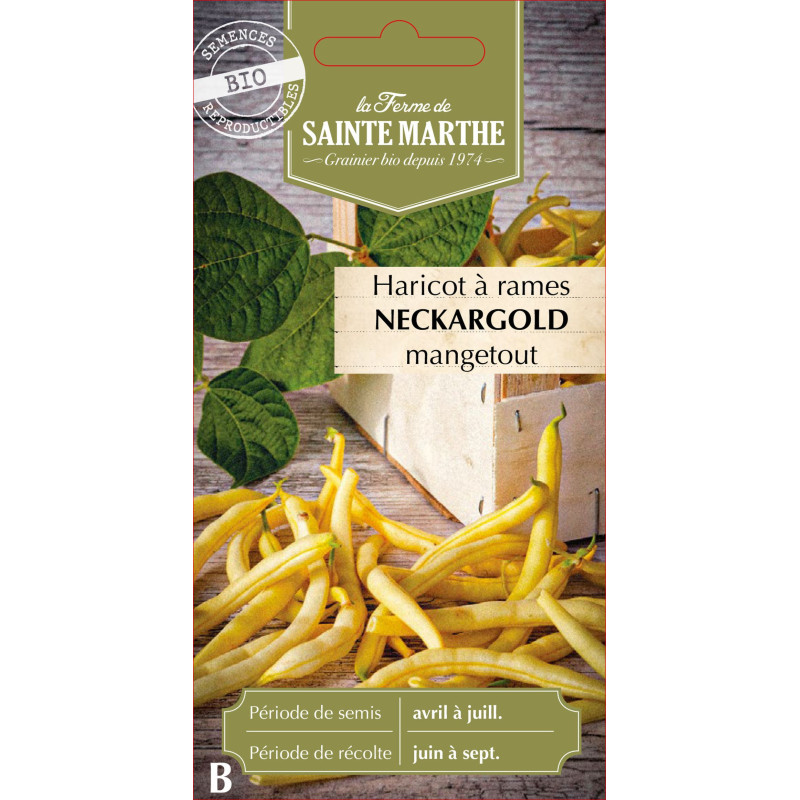 Haricot a rame neckargold 10g -sainte marthe de La Ferme de Sainte Marthe - Graines BIO dans Graines de Haricot