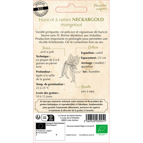 Haricot a rame neckargold 10g -sainte marthe de La Ferme de Sainte Marthe - Graines BIO dans Graines de Haricot