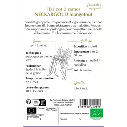 Haricot a rame neckargold bio 80g - sainte marth de La Ferme de Sainte Marthe - Graines BIO dans Graines de Haricot