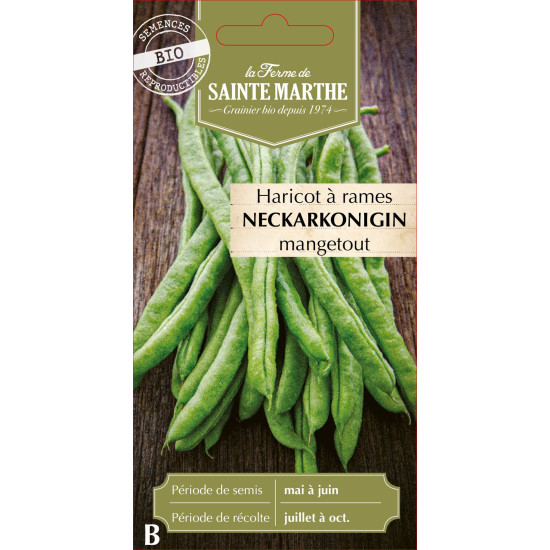 Haricot a rame neckarkoningin 10g -sainte marthe de La Ferme de Sainte Marthe - Graines BIO dans Graines de Haricot