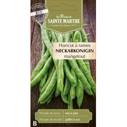 Haricot a rame neckarkoningin 10g -sainte marthe de La Ferme de Sainte Marthe - Graines BIO dans Graines de Haricot