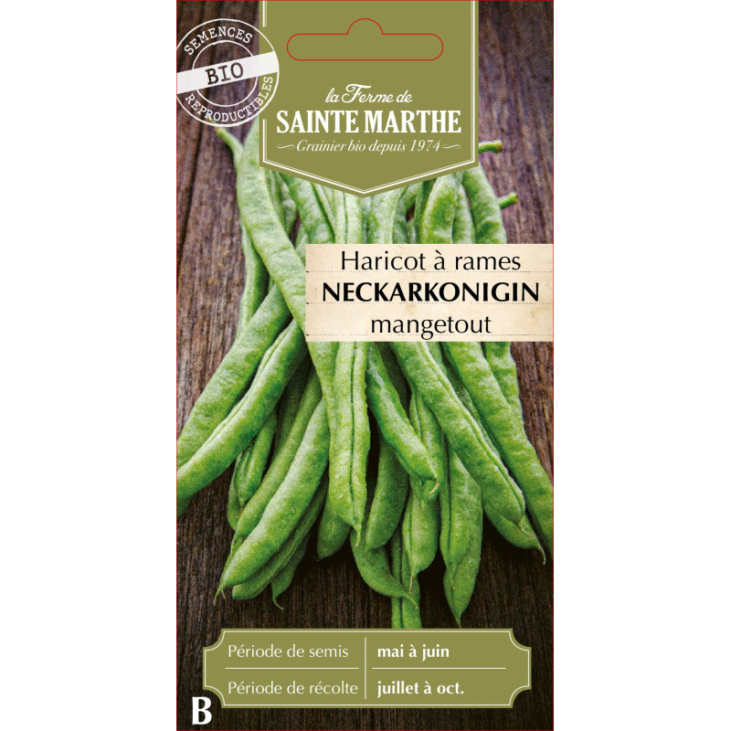 Haricot a rame neckarkoningin 10g -sainte marthe de La Ferme de Sainte Marthe - Graines BIO dans Graines de Haricot