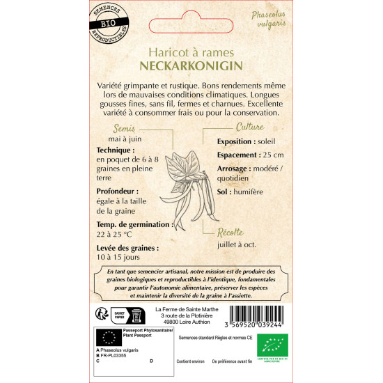 Haricot a rame neckarkoningin 10g -sainte marthe de La Ferme de Sainte Marthe - Graines BIO dans Graines de Haricot