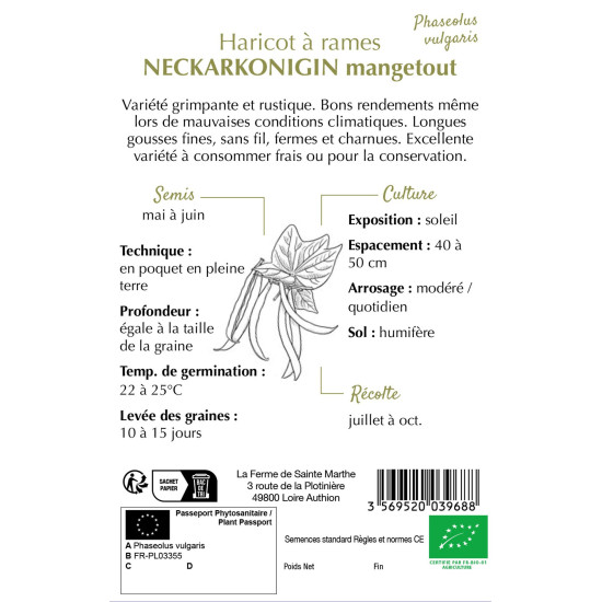 Haricot a rame neckarkoningin 80g -sainte marthe de La Ferme de Sainte Marthe - Graines BIO dans Graines de Haricot