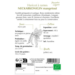Haricot a rame neckarkoningin 80g -sainte marthe de La Ferme de Sainte Marthe - Graines BIO dans Graines de Haricot