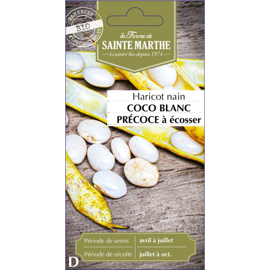 Haricot coco blanc precoce -sainte marthe de La Ferme de Sainte Marthe - Graines BIO dans Graines de Haricot