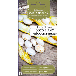 Haricot coco blanc precoce -sainte marthe de La Ferme de Sainte Marthe - Graines BIO dans Graines de Haricot