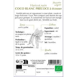 Haricot coco blanc precoce -sainte marthe de La Ferme de Sainte Marthe - Graines BIO dans Graines de Haricot