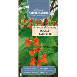 Haricot d'espagne bio - ferme sainte marthe de La Ferme de Sainte Marthe - Graines BIO dans Graines de Haricot