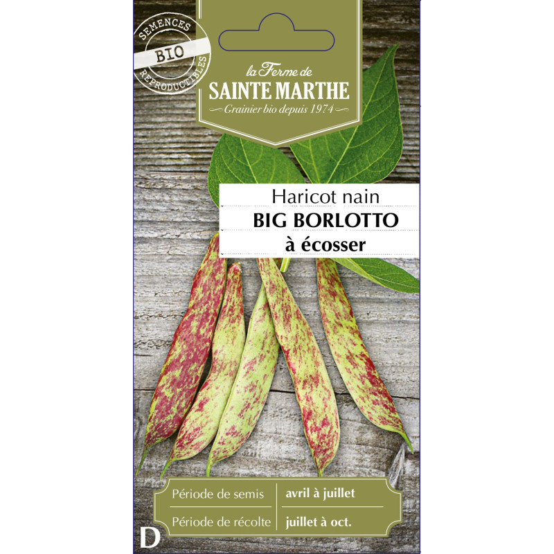 Haricot nain a ecosser big borl -sainte marthe de La Ferme de Sainte Marthe - Graines BIO dans Graines de Haricot