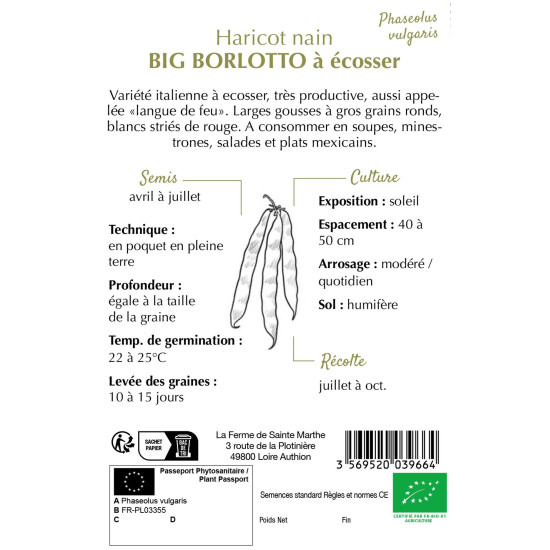 Haricot nain a ecosser big borl -sainte marthe de La Ferme de Sainte Marthe - Graines BIO dans Graines de Haricot