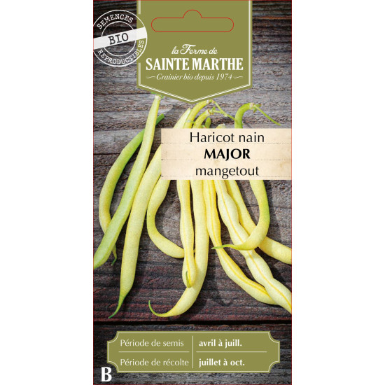 Haricot nain beurre major 10g -sainte marthe de La Ferme de Sainte Marthe - Graines BIO dans Graines de Haricot