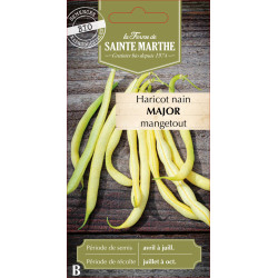 Haricot nain beurre major 10g -sainte marthe de La Ferme de Sainte Marthe - Graines BIO dans Graines de Haricot