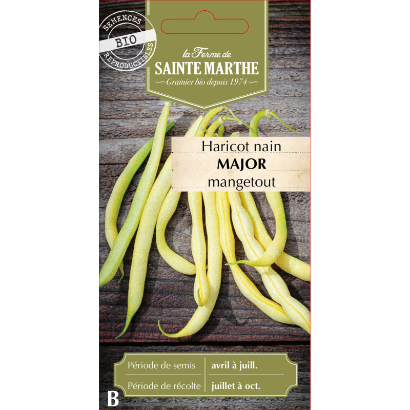 Haricot nain beurre major 10g -sainte marthe de La Ferme de Sainte Marthe - Graines BIO dans Graines de Haricot