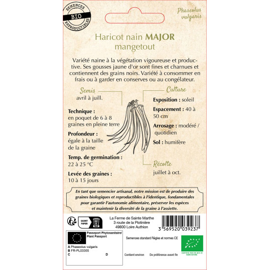 Haricot nain beurre major 10g -sainte marthe de La Ferme de Sainte Marthe - Graines BIO dans Graines de Haricot
