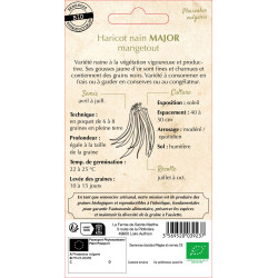 Haricot nain beurre major 10g -sainte marthe de La Ferme de Sainte Marthe - Graines BIO dans Graines de Haricot