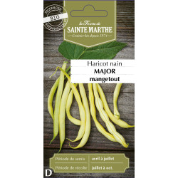 Haricot nain beurre major bio 80g - sainte marth de La Ferme de Sainte Marthe - Graines BIO dans Graines de Haricot