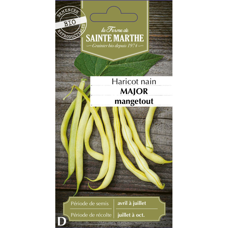 Haricot nain beurre major bio 80g - sainte marth de La Ferme de Sainte Marthe - Graines BIO dans Graines de Haricot