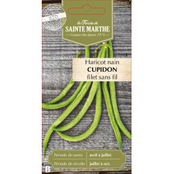 Haricot nain filet cupidon 10g -sainte marthe de La Ferme de Sainte Marthe - Graines BIO dans Graines de Haricot
