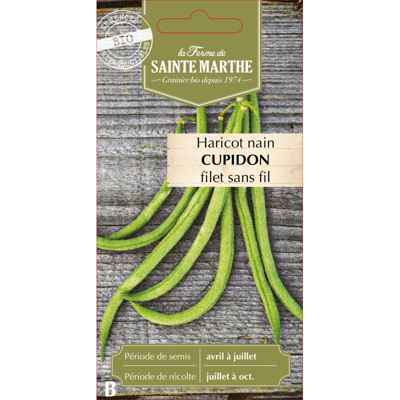 Haricot nain filet cupidon 10g -sainte marthe de La Ferme de Sainte Marthe - Graines BIO dans Graines de Haricot