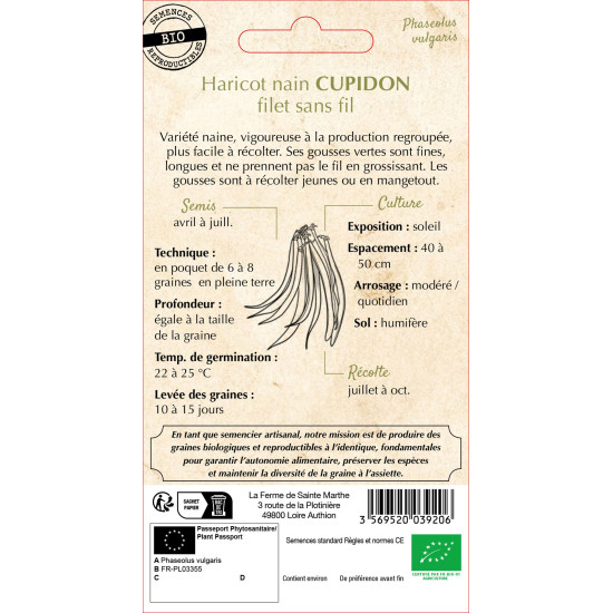 Haricot nain filet cupidon 10g -sainte marthe de La Ferme de Sainte Marthe - Graines BIO dans Graines de Haricot