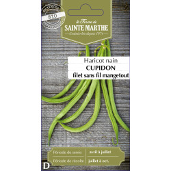 Haricot nain filet cupidon bio - sainte marthe de La Ferme de Sainte Marthe - Graines BIO dans Graines de Haricot