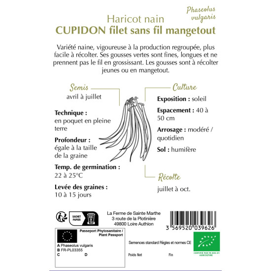Haricot nain filet cupidon bio - sainte marthe de La Ferme de Sainte Marthe - Graines BIO dans Graines de Haricot