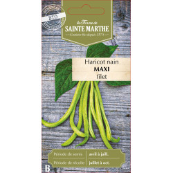 Haricot nain filet maxi 10g -sainte marthe de La Ferme de Sainte Marthe - Graines BIO dans Graines de Haricot