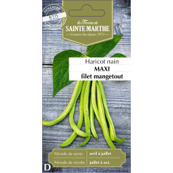 Haricot nain filet maxi bio -ferme sainte marthe de La Ferme de Sainte Marthe - Graines BIO dans Graines de Haricot