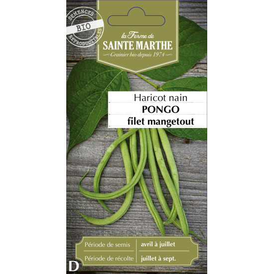 Haricot nain filet pongo bio -ferme sainte marth de La Ferme de Sainte Marthe - Graines BIO dans Graines de Haricot
