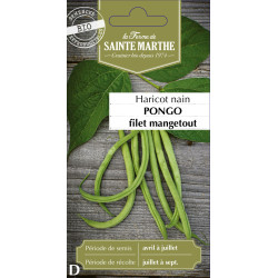 Haricot nain filet pongo bio -ferme sainte marth de La Ferme de Sainte Marthe - Graines BIO dans Graines de Haricot