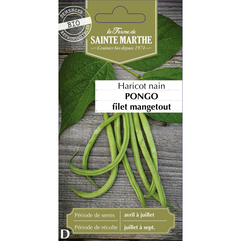 Haricot nain filet pongo bio -ferme sainte marth de La Ferme de Sainte Marthe - Graines BIO dans Graines de Haricot