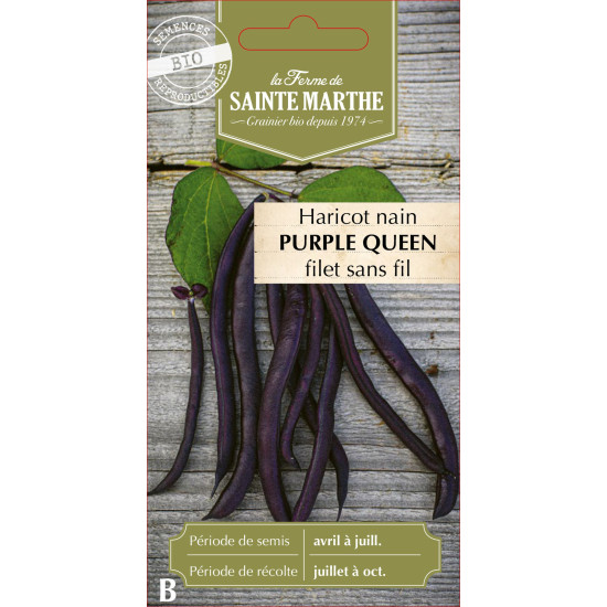 Haricot nain filet purplequeen 10g -sainte marth de La Ferme de Sainte Marthe - Graines BIO dans Graines de Haricot