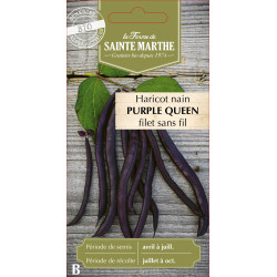 Haricot nain filet purplequeen 10g -sainte marth de La Ferme de Sainte Marthe - Graines BIO dans Graines de Haricot