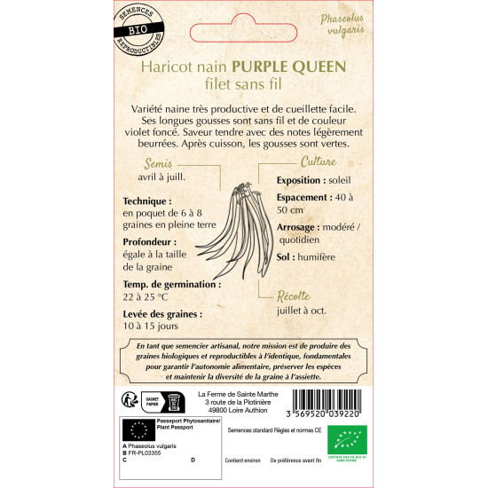 Haricot nain filet purplequeen 10g -sainte marth de La Ferme de Sainte Marthe - Graines BIO dans Graines de Haricot