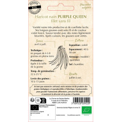 Haricot nain filet purplequeen 10g -sainte marth de La Ferme de Sainte Marthe - Graines BIO dans Graines de Haricot