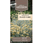 Helichryse plante curry bio -ferme sainte marthe de La Ferme de Sainte Marthe - Graines BIO dans Graines d'autres aromatiques