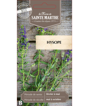 Hysope bio - ferme sainte marthe de La Ferme de Sainte Marthe - Graines BIO dans Graines d'autres aromatiques