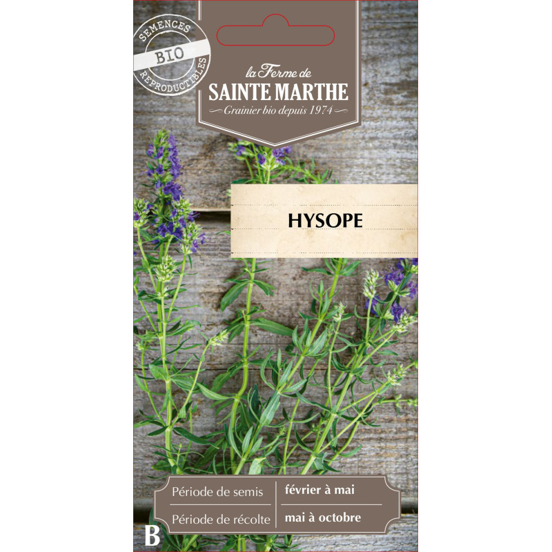 Hysope bio - ferme sainte marthe de La Ferme de Sainte Marthe - Graines BIO dans Graines d'autres aromatiques
